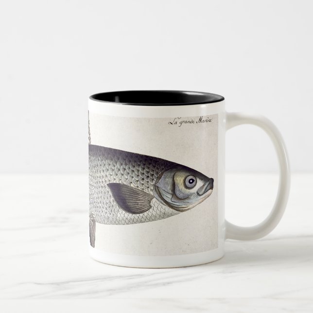 Lachs (Salmo Maraena) Platte XXVII von 'Ichthyolo Zweifarbige Tasse (Rechts)