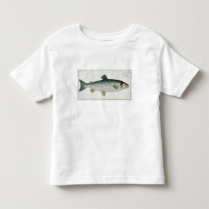 Lachs (Salmo Salar) Platte XX von 'Ichthyologie, Kleinkind T-shirt