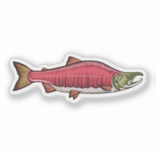 Lachs-Sockeye Phase 2 Aufkleber