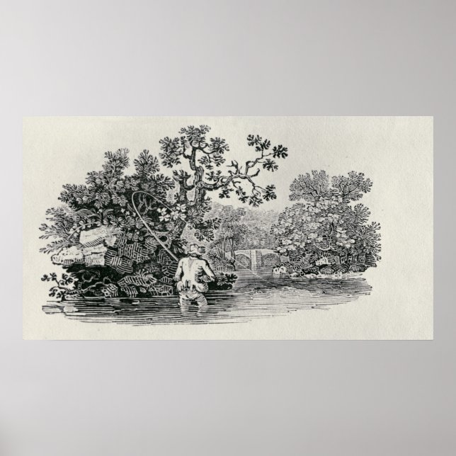 Lachs spielen poster (Vorne)