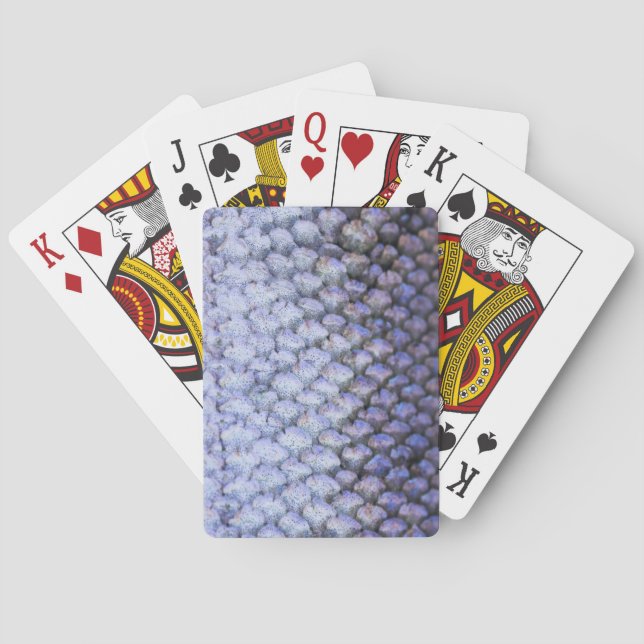 Lachs Spielkarten (Rückseite)