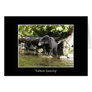 "Lachs Spotting"