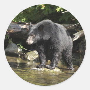 "Lachs Spotting" Geschenke von Schwarzbären Runder Aufkleber
