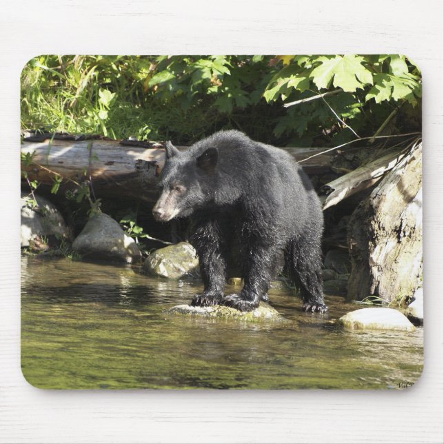 "Lachs Spotting" Maus Pad Mousepad (Vorne)