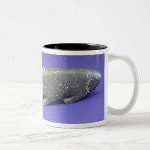 Lachse, vom Kap Dorset Zweifarbige Tasse