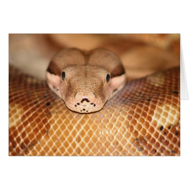 Lachskarte (Vorderseite (Horizontal))