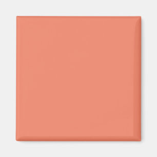 Lachsrosa Magnet Schicke Minimalistische Dekorat