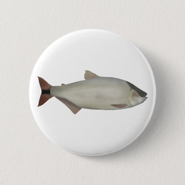 Lachssalmler Button (Vorderseite)