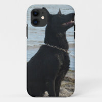Lack-schwarzer Schäferhund