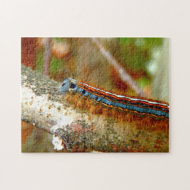 Lackey Moth Raupe Foto Puzzle mit Geschenkboxen (Horizontal)