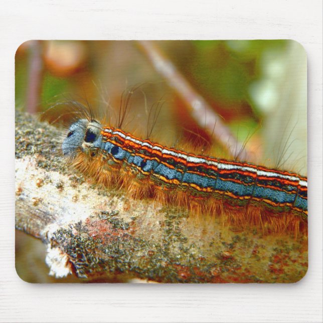 Lackey Moth Raupe Mouse Mat Mousepad (Vorne)
