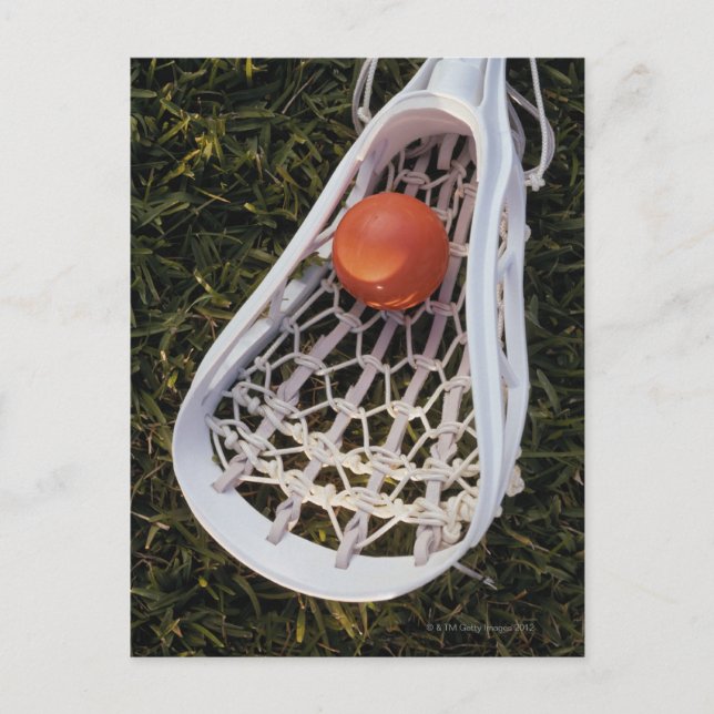 Lacrosse Stick and Ball Postkarte (Vorderseite)