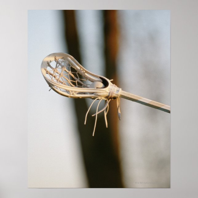 Lacrosse Stick Poster (Vorne)