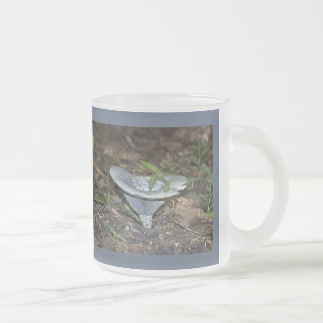 Lactarius indigo Blauer Pilz Mattglastasse (Rechts)