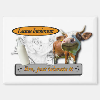 Lactose Intolerant? Just Tolerate It Magnet