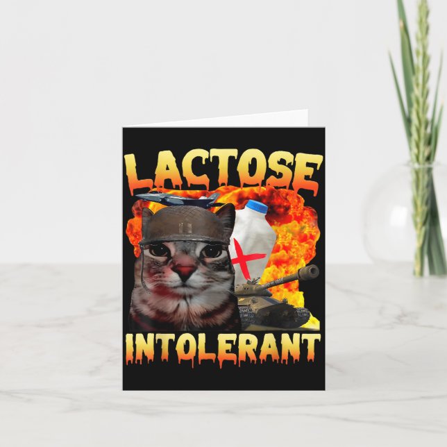 Lactose Intolerant Silly Cat Meme Funny Saying Cat Karte (Vorderseite)