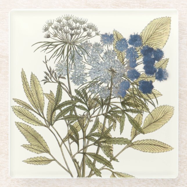 Lacy-Blätter - Blume und Grünflächen Glasuntersetzer (Vorderseite)