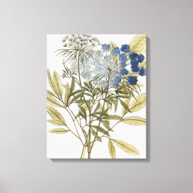 Lacy-Blätter - Blume und Grünflächen Leinwanddruck (Vorderseite)