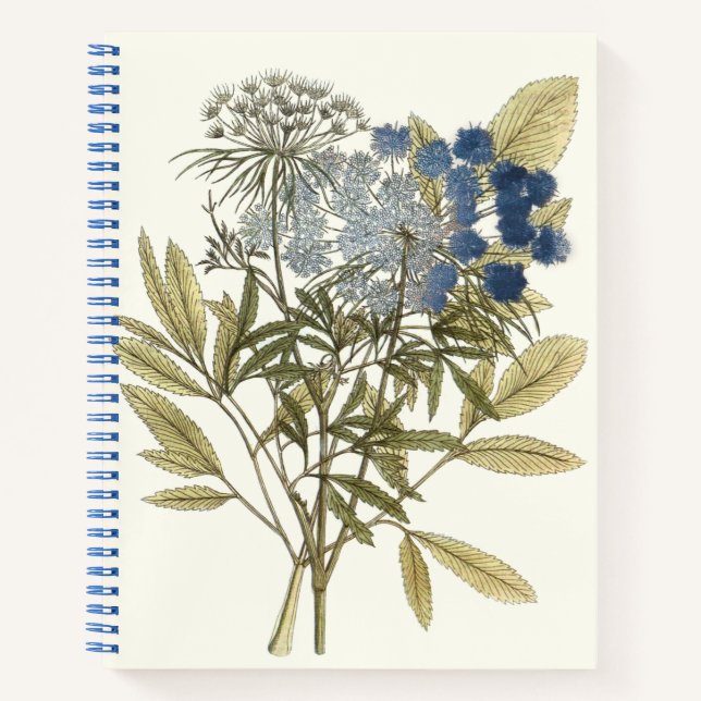 Lacy-Blätter - Blume und Grünflächen Notizbuch (Vorderseite)