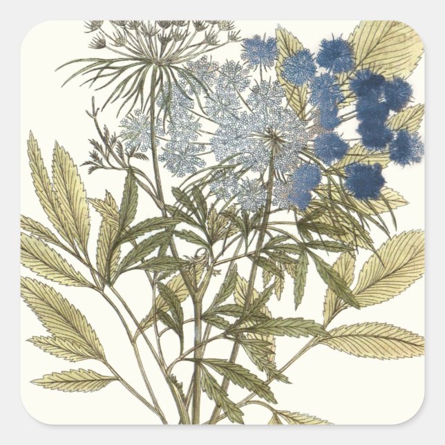 Lacy-Blätter - Blume und Grünflächen Quadratischer Aufkleber (Vorderseite)