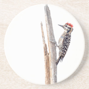 Ladder-Backed Woodpecker Getränkeuntersetzer