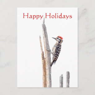 Ladder-Backed Woodpecker, glücklicher Urlaub Feiertagspostkarte