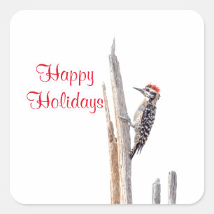 Ladder-Backed Woodpecker Quadratischer Aufkleber