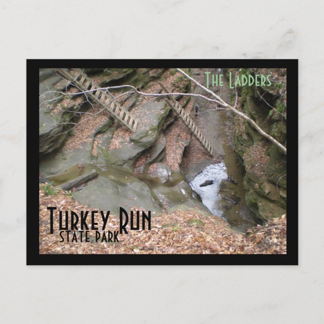 Ladders, Turkey Run Staat Park Postkarte (Vorderseite)