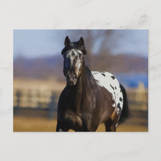 Ladegerät Postkarte (Vorderseite)