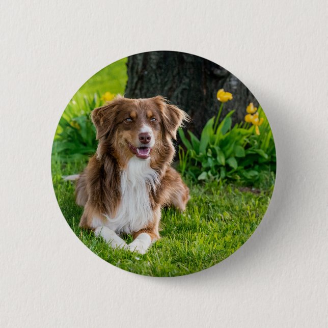 Laden Sie Ihr Lieblings-Foto hoch Button (Vorderseite)