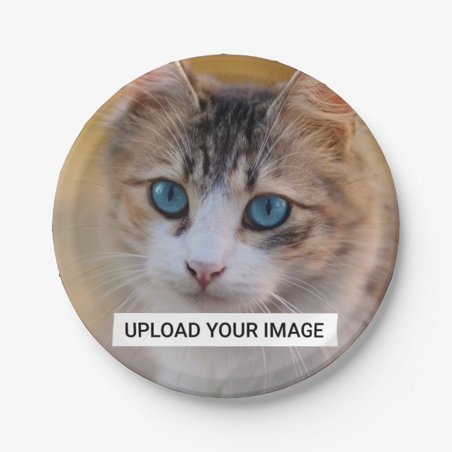 Laden Sie Ihr Niedliches Cat-Foto hoch Pappteller (Vorderseite)