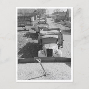 Ladungen von Mais ohne Schale Postkarte