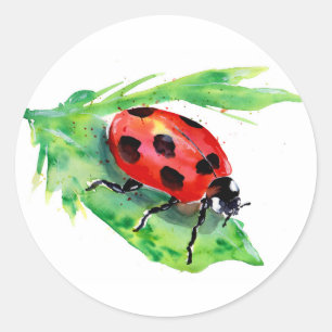 Lady Bug auf grünem Leaf Runder Aufkleber