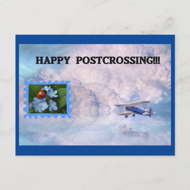 Lady Bug Briefmarke Luftpost Postcard Postkarte (Vorderseite)