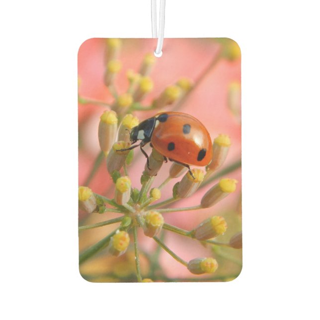 Lady Bug Car Air Freshener Autolufterfrischer (Rückseite)