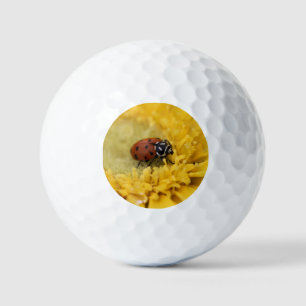 Lady Bug Golfball