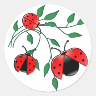 Lady Bug, Lady Bugs Runder Aufkleber