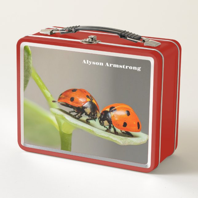 Lady Bugs Metall Brotdose (Vorderseite)