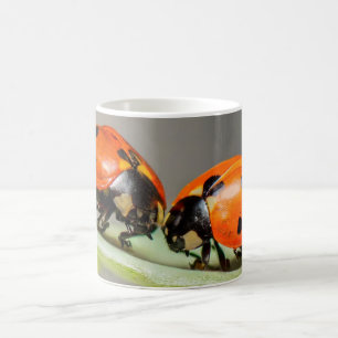Lady Bugs White Coffee Tasse