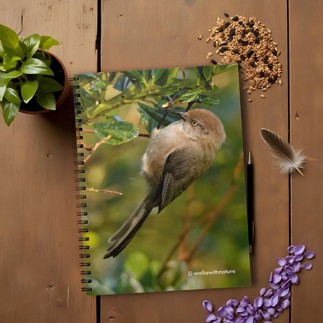 Lady Bushtit über Kalifornien Lilac Bush Notizblock (Lady Bushtit on the California Lilac Journal Cover Photo)