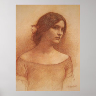 Lady Clare Canvas Print Poster