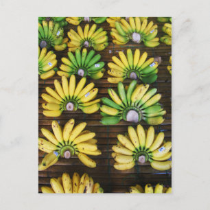 Lady Finger Bananas ~ Egg Banana (ก ล้ ว ย ข่ ไ) Postkarte