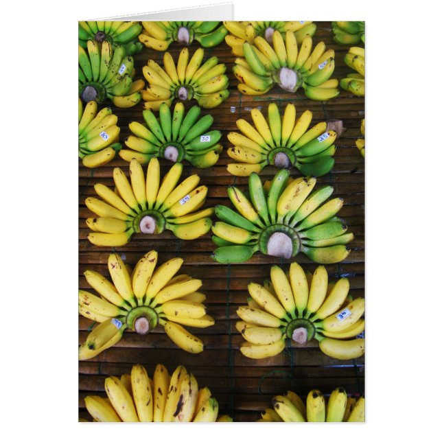 Lady Finger Bananas ~ Egg Banana (ก ล้ ว ไ ข่) Kar (Vorne)