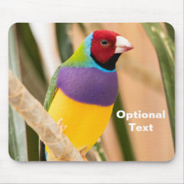 Lady Gouldian Finch Mousepad