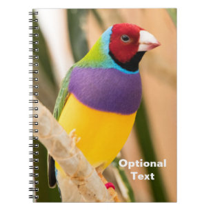 Lady Gouldian Finch Notizblock