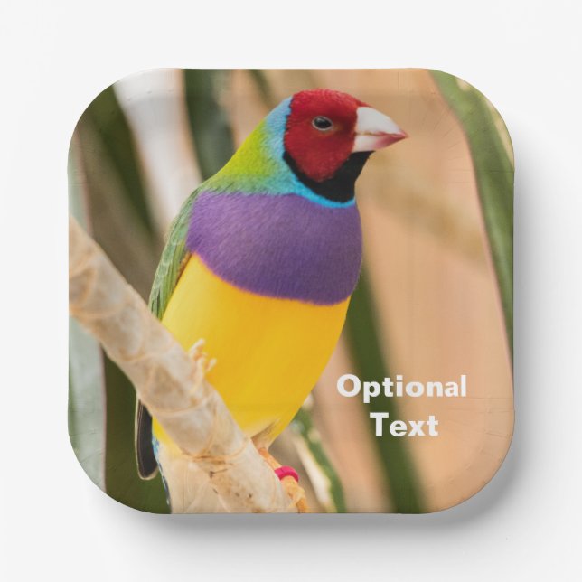 Lady Gouldian Finch Pappteller (Vorderseite)