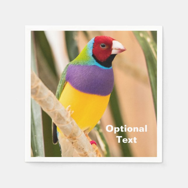 Lady Gouldian Finch Serviette (Vorderseite)
