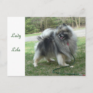 Lady Lola Postcard Postkarte