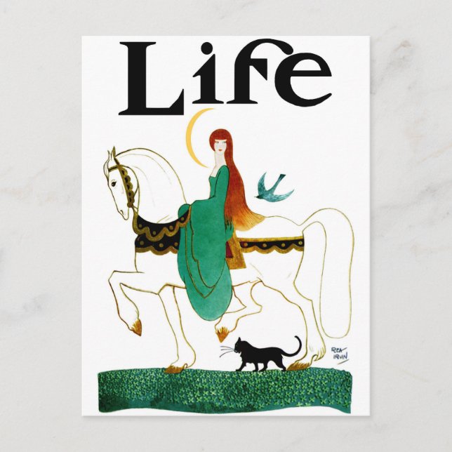 "LADY LUCK" REITPFERD POSTKARTE (Vorderseite)