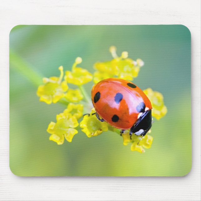 lady on top mousepad (Vorne)